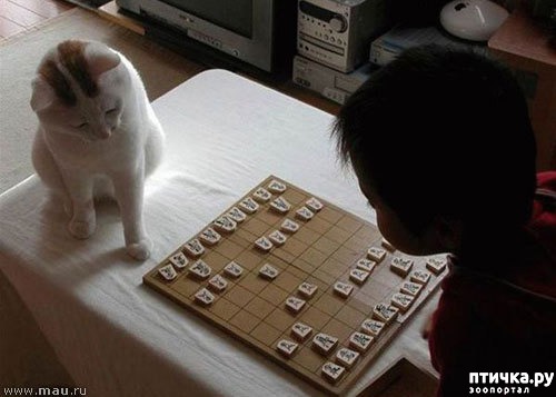 ���� 21: ����� � ����