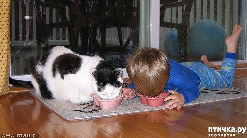 ���� 22: ����� � ����