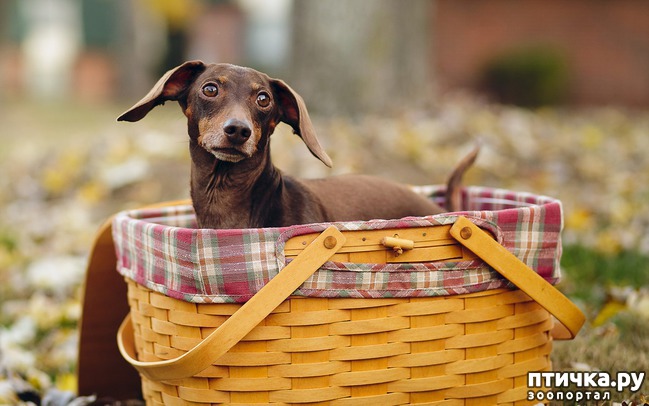 ���� 1: �� ��� ��� ��� � ����� (�� ����)