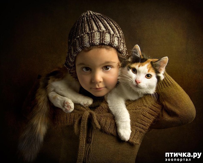 ���� 23: ����� � ����