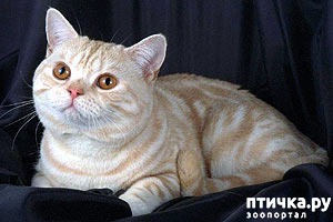 ���� 3: ����� - �����