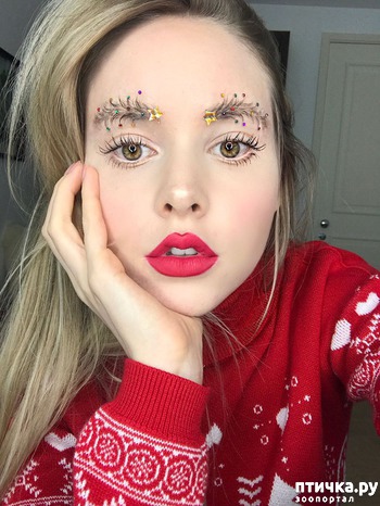 ����: ���� ��� �������