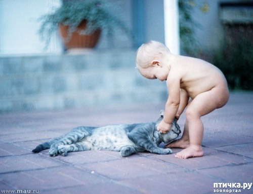 ���� 24: ����� � ����