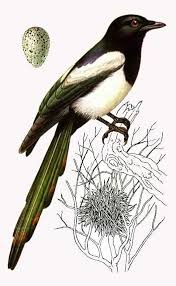 ����: ������� � �������