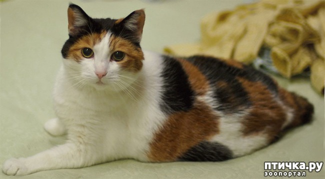 ���� 4: ����� - �����