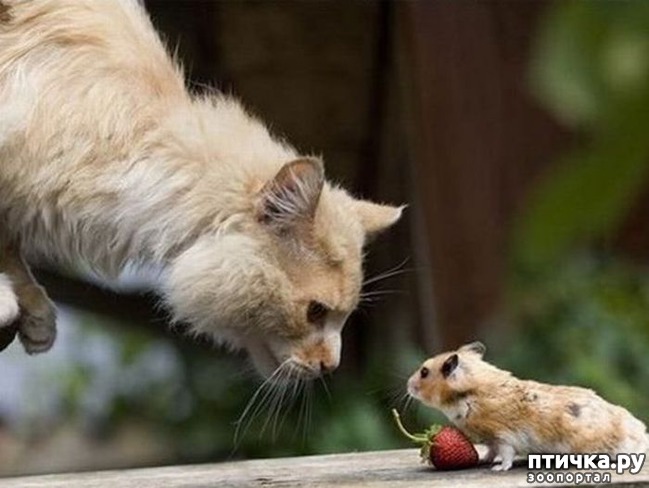 ���� 6: ���� ���� ������ (�. �������)