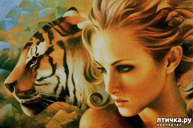 ���� 1: ������� ��� �����.