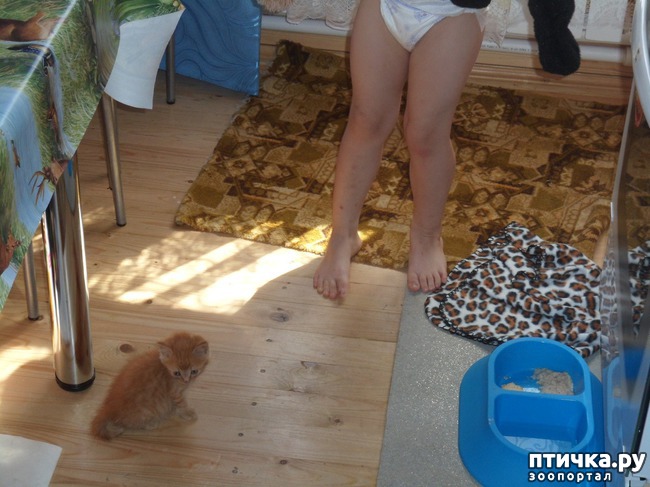 ���� 1: ��� � ��� �������� ����� - �����, ���������� � ������ ��������!