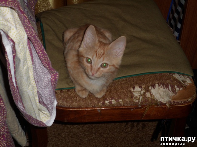 ���� 2: ��� � ��� �������� ����� - �����, ���������� � ������ ��������!