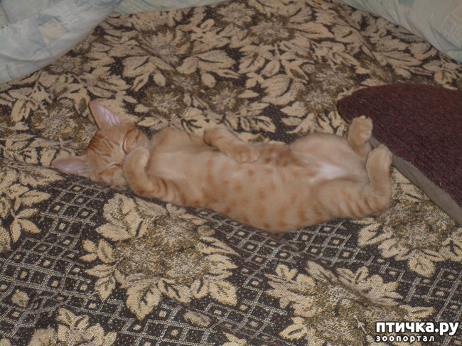 ���� 3: ��� � ��� �������� ����� - �����, ���������� � ������ ��������!