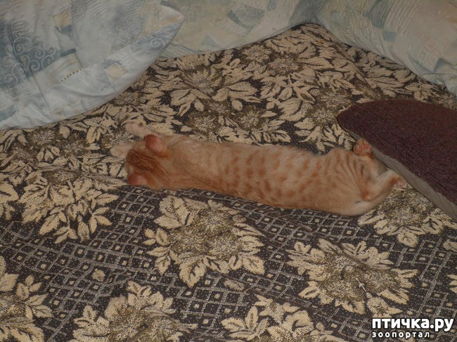 ���� 4: ��� � ��� �������� ����� - �����, ���������� � ������ ��������!