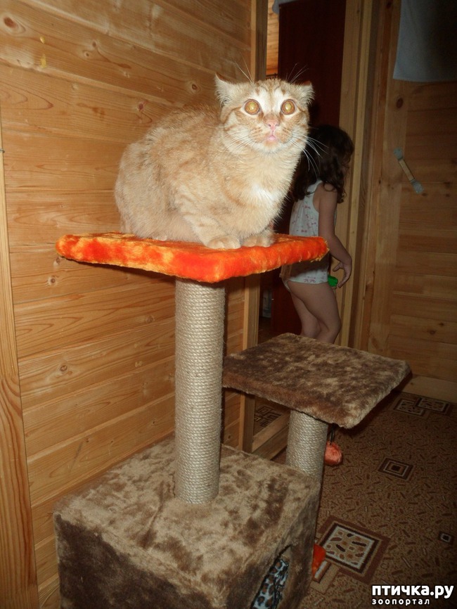 ���� 5: ��� � ��� �������� ����� - �����, ���������� � ������ ��������!