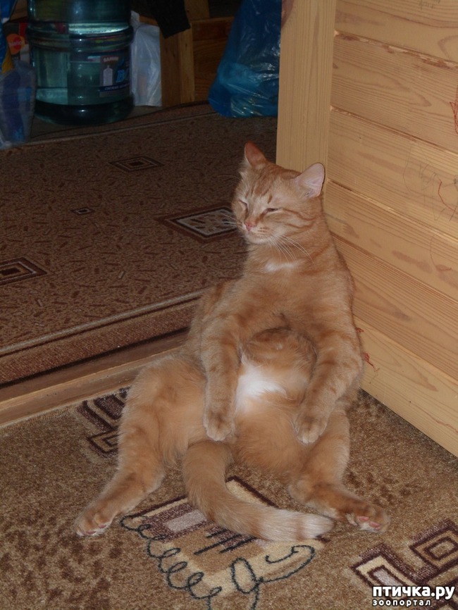 ���� 6: ��� � ��� �������� ����� - �����, ���������� � ������ ��������!