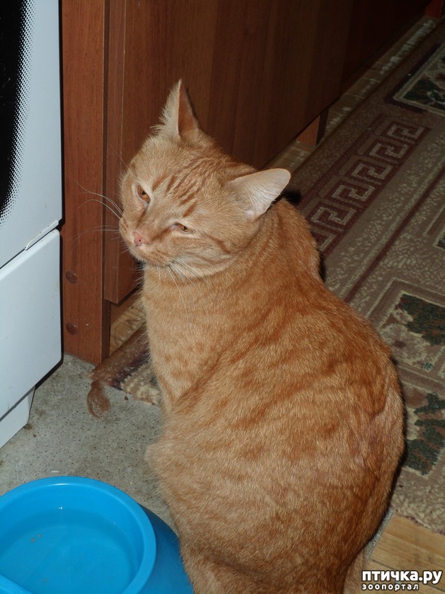 ���� 8: ��� � ��� �������� ����� - �����, ���������� � ������ ��������!