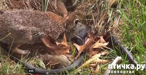 ����: ��������� ������� �������� ����� ��������� ����� �������� �����