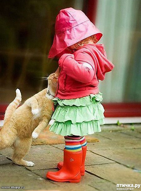 ���� 1: ����� � ����