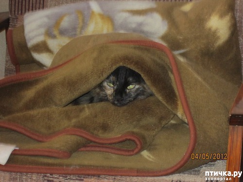 ���� 3: ���� ������ ���������� � �����