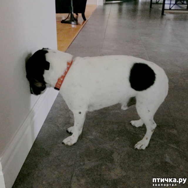 ���� 1: ������� ����? ���! ������ � ����������!