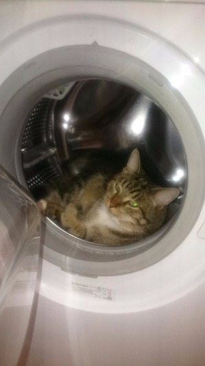 ����: ���������, ����, ����...