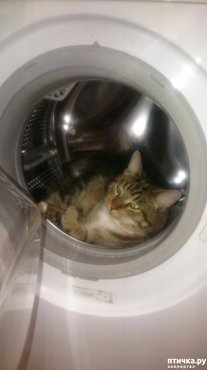 ���� 1: ���������, ����, ����...