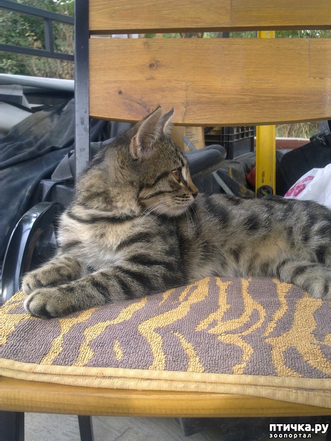 ���� 1: ����� �����������. �����.