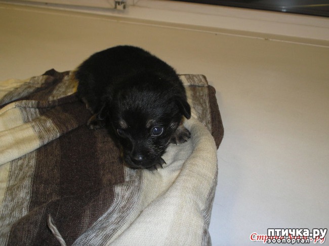 ���� 1: ����