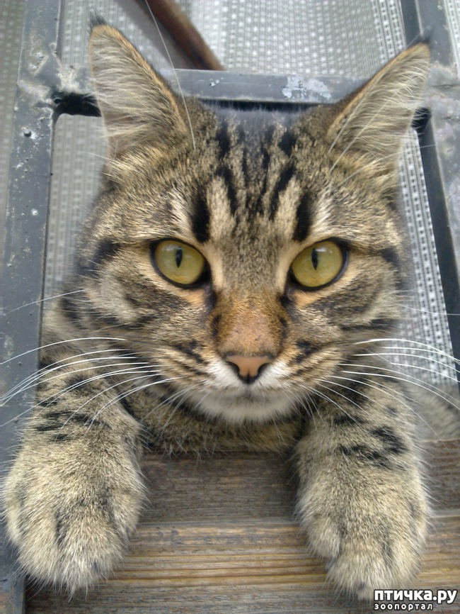 ���� 4: ����� �����������. �����.