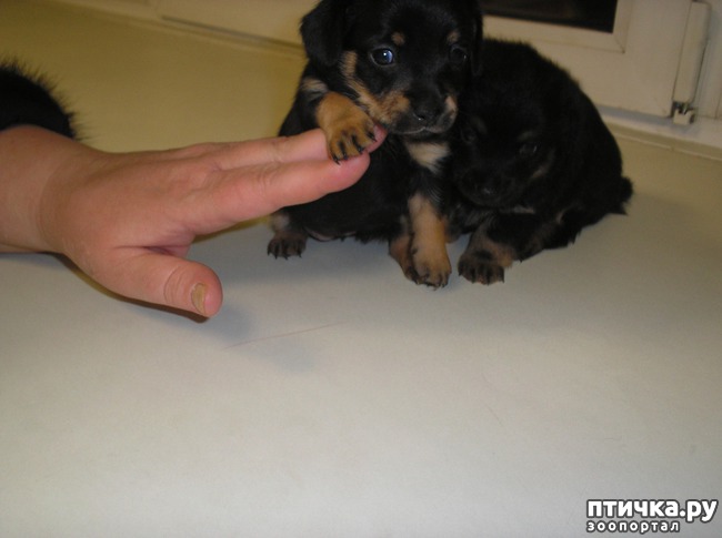 ���� 2: ����