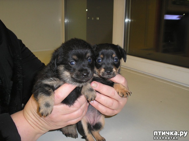 ���� 3: ����