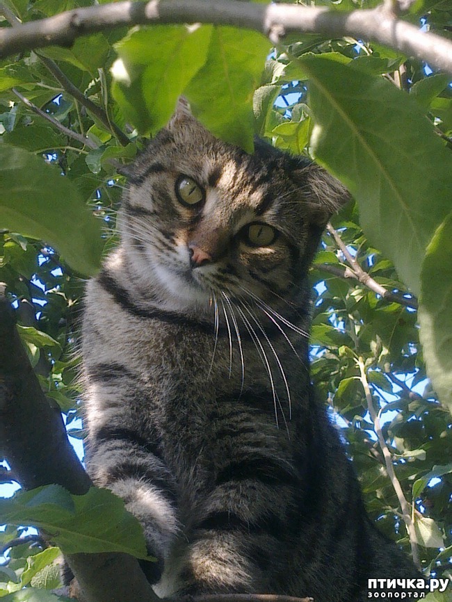 ���� 5: ����� �����������. �����.