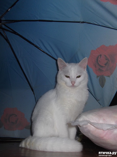  4:     