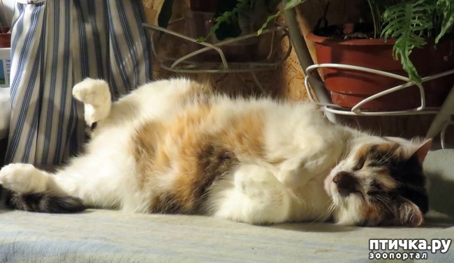 ���� 3: �����������, ���������� �����: ������ � ����.