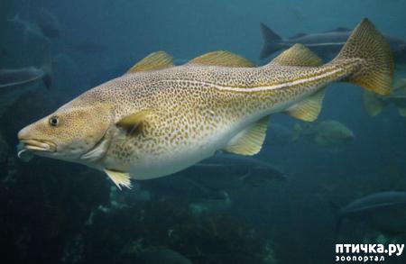 ���� 3: ���� ����� �������������!