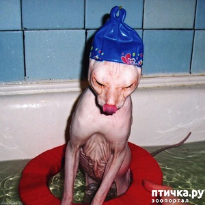 ����: ����� ��������� �����