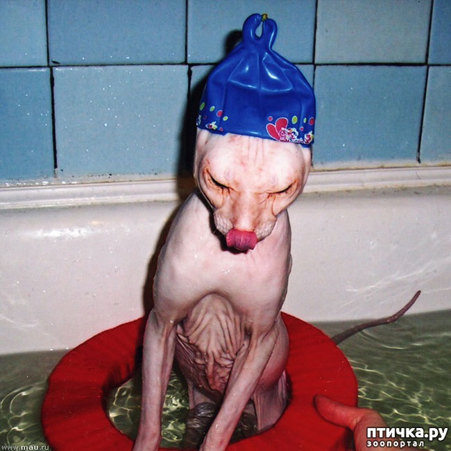 ���� 1: ����� ��������� �����