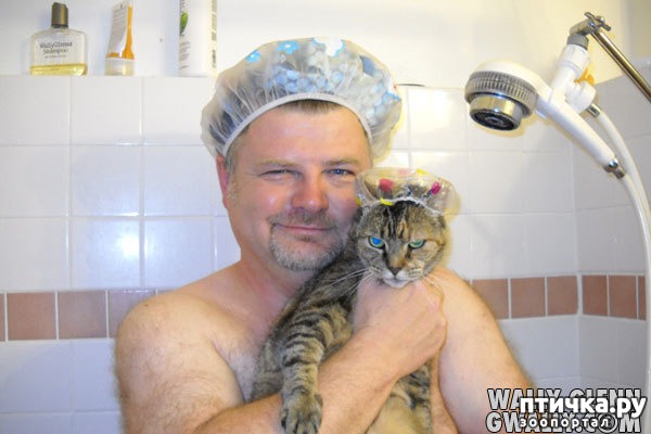 ���� 2: ����� ��������� �����