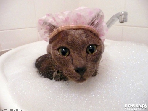 ���� 3: ����� ��������� �����