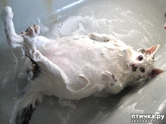 ���� 5: ����� ��������� �����