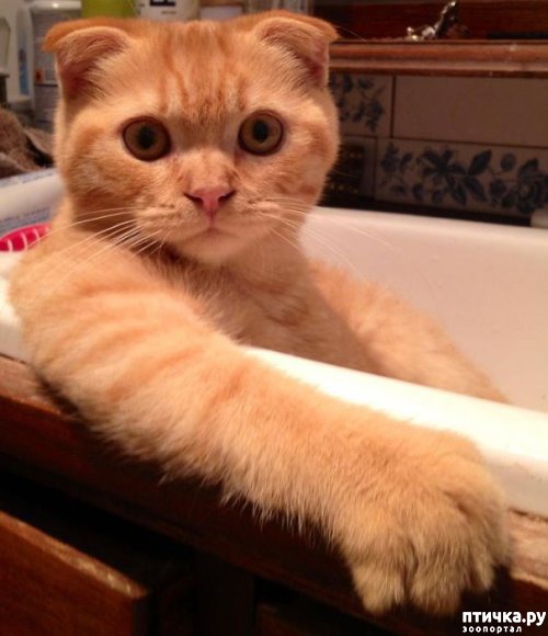 ���� 6: ����� ��������� �����