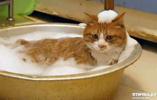 ���� 7: ����� ��������� �����