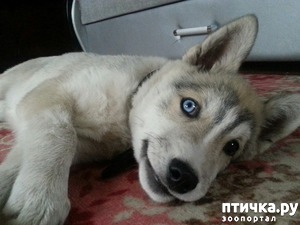 ����: ��� ��� �����, ��� ��� ���� ������ � ����