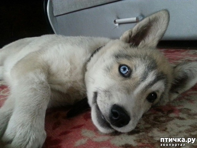 ���� 1: ��� ��� �����, ��� ��� ���� ������ � ����