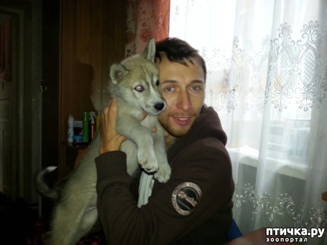 ���� 2: ��� ��� �����, ��� ��� ���� ������ � ����