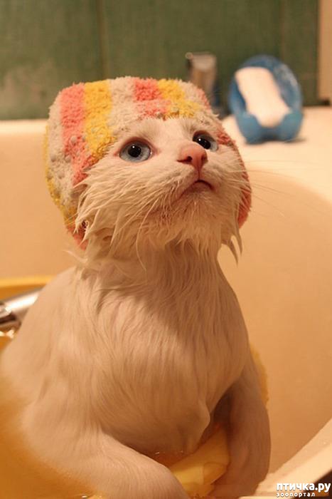 ���� 9: ����� ��������� �����