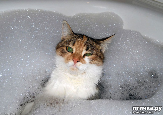 ���� 10: ����� ��������� �����