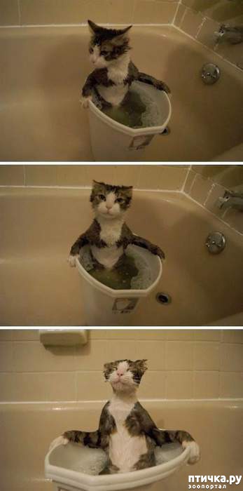 ���� 11: ����� ��������� �����