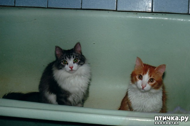 ���� 12: ����� ��������� �����