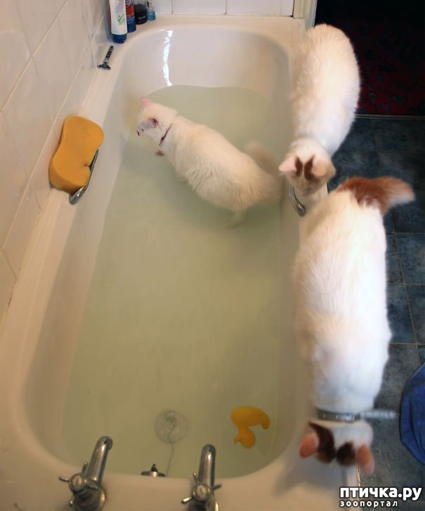 ���� 15: ����� ��������� �����