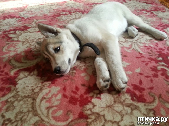 ���� 3: ��� ��� �����, ��� ��� ���� ������ � ����