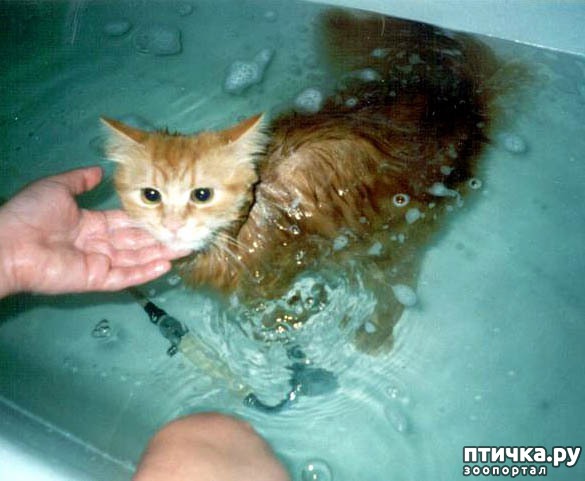 ���� 16: ����� ��������� �����